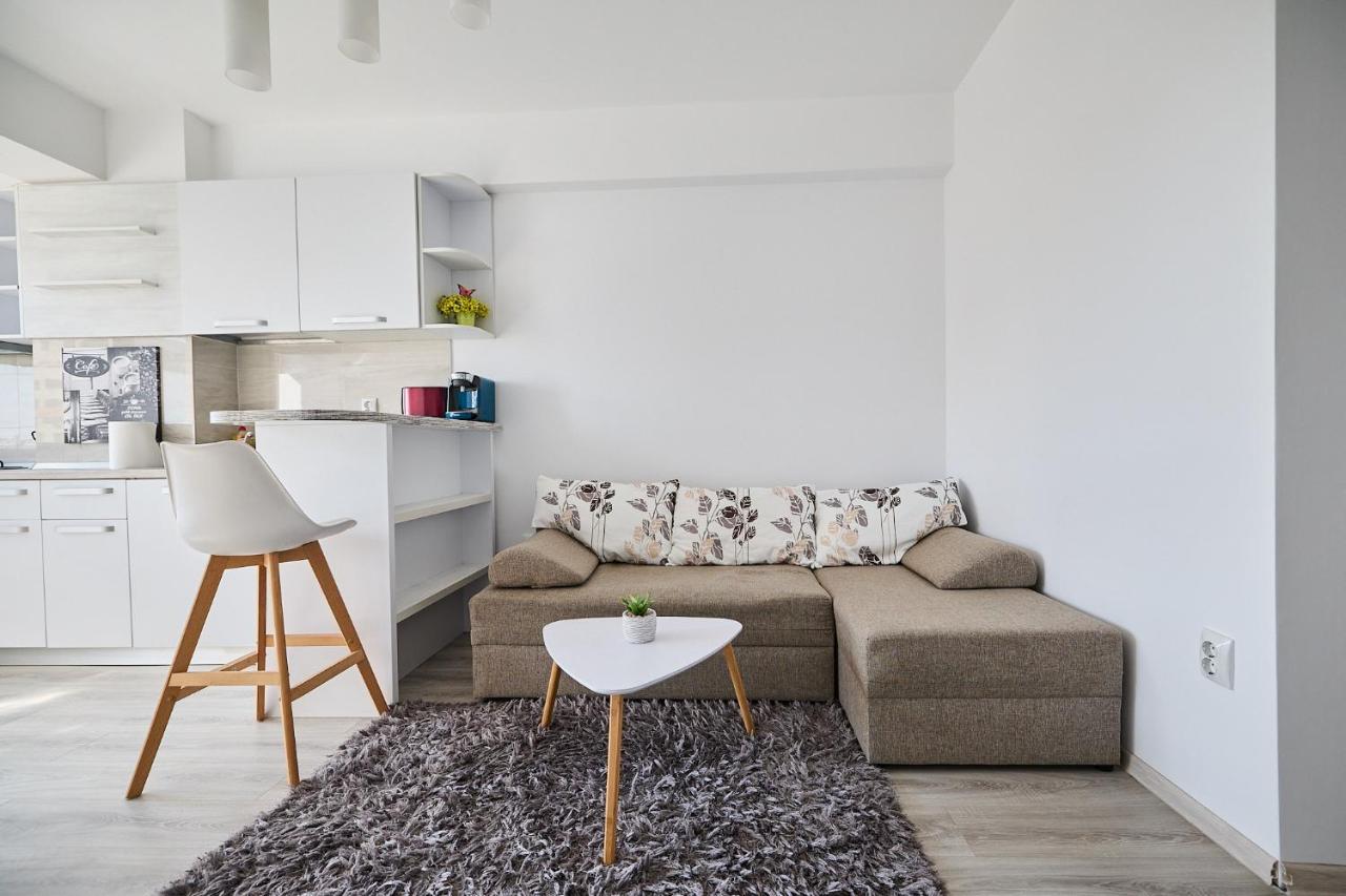 Alessandro Home 9 Luxury Centru Palas Mall Iasi Moldovei 30 Kültér fotó