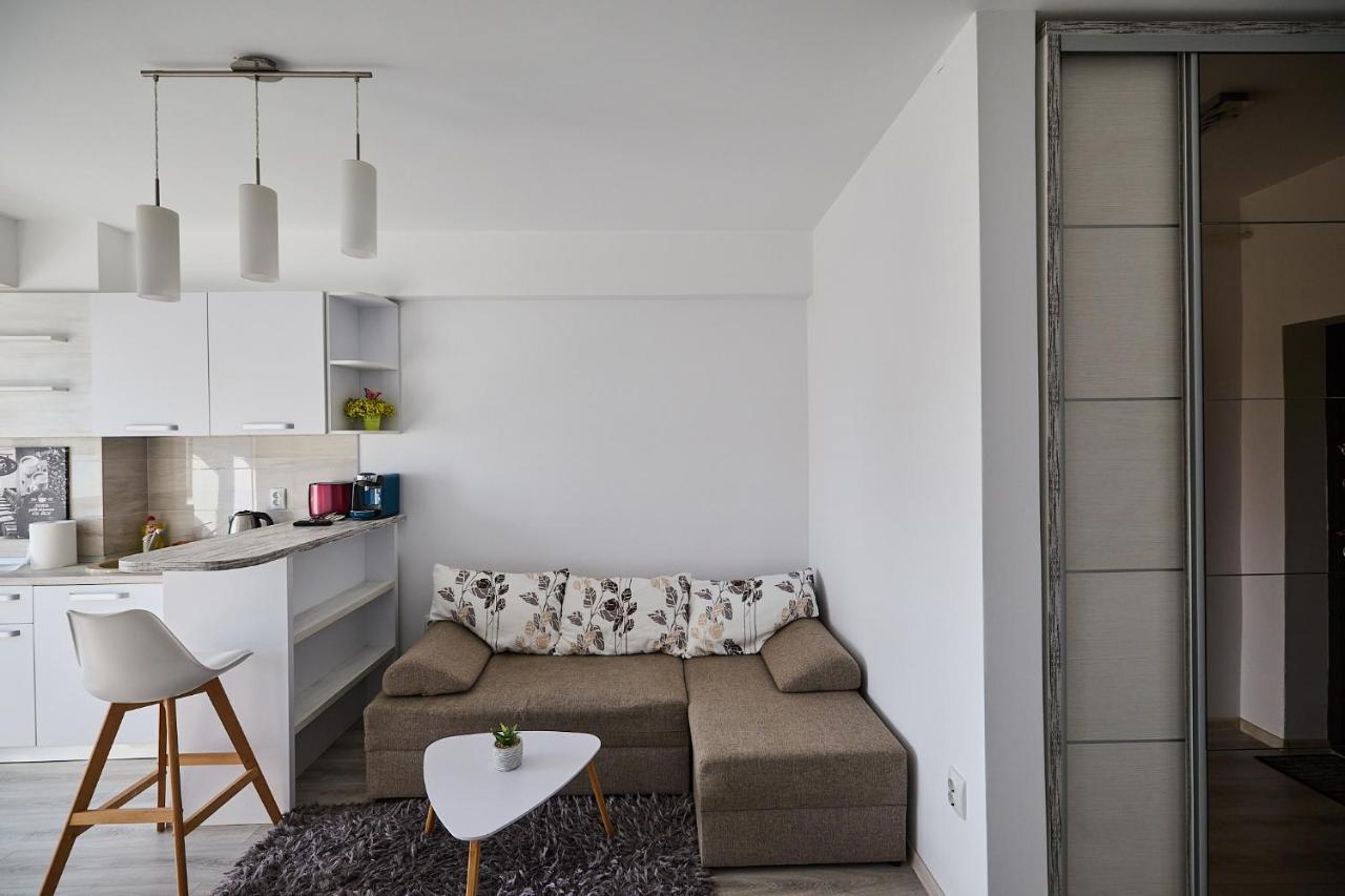 Alessandro Home 9 Luxury Centru Palas Mall Iasi Moldovei 30 Kültér fotó